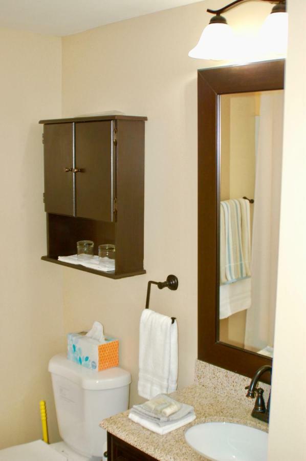 Blue Bear Den 3Br 2Ba Dtc Private Apt Hot Tub Екстер'єр фото